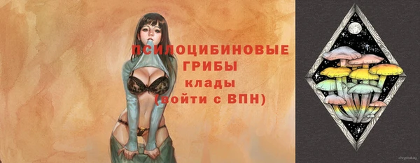 винт Елабуга