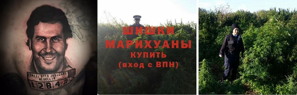 трава Ельня
