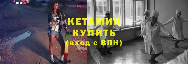 трава Ельня