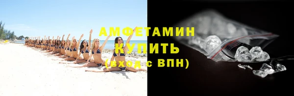 трава Ельня