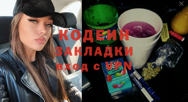 трава Ельня
