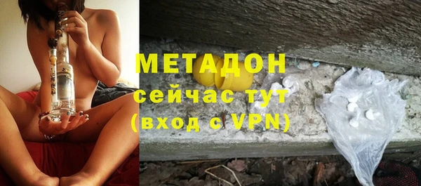 трава Ельня