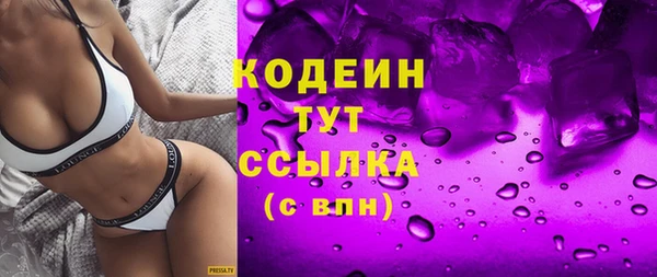 трава Ельня
