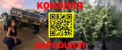 твердый Новокубанск