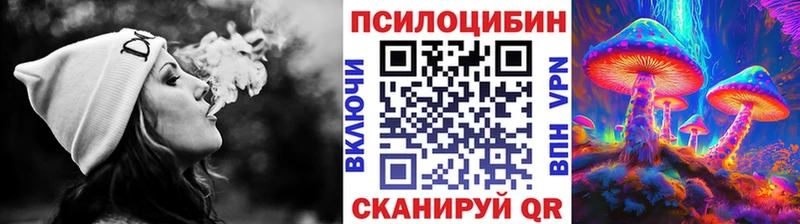 Псилоцибиновые грибы GOLDEN TEACHER  omg tor  Янаул 