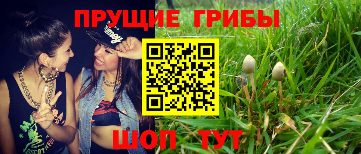 Псилоцибиновые грибы Cubensis  Вход с VPN  купить закладку  Янаул 