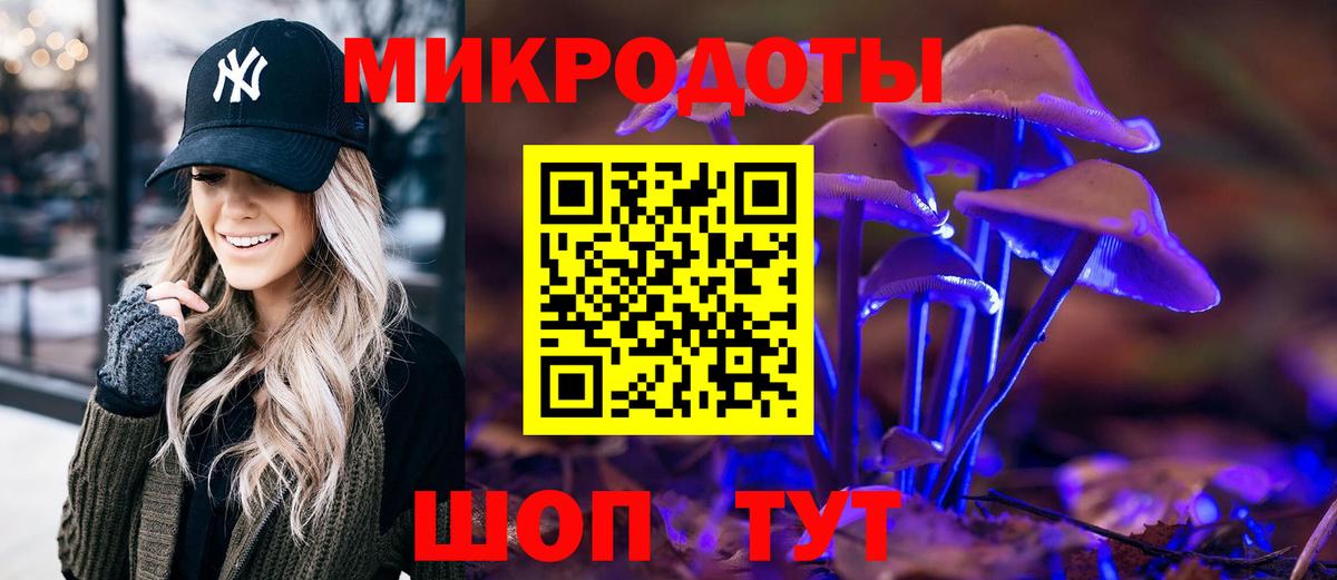 Псилоцибиновые грибы Psilocybine cubensis Янаул